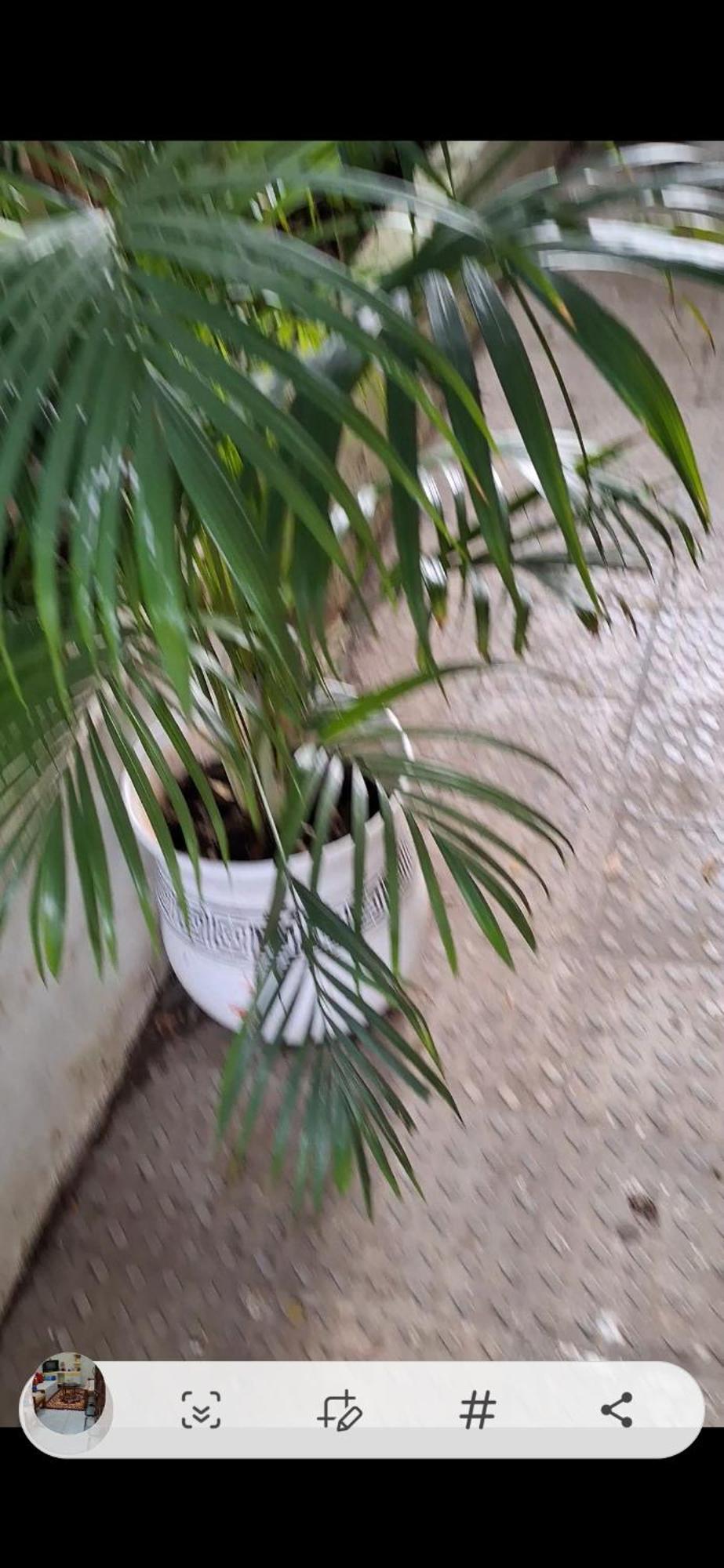 2Bhk Chandra Jyoti Villa Nit Garden Nagpur Exterior foto