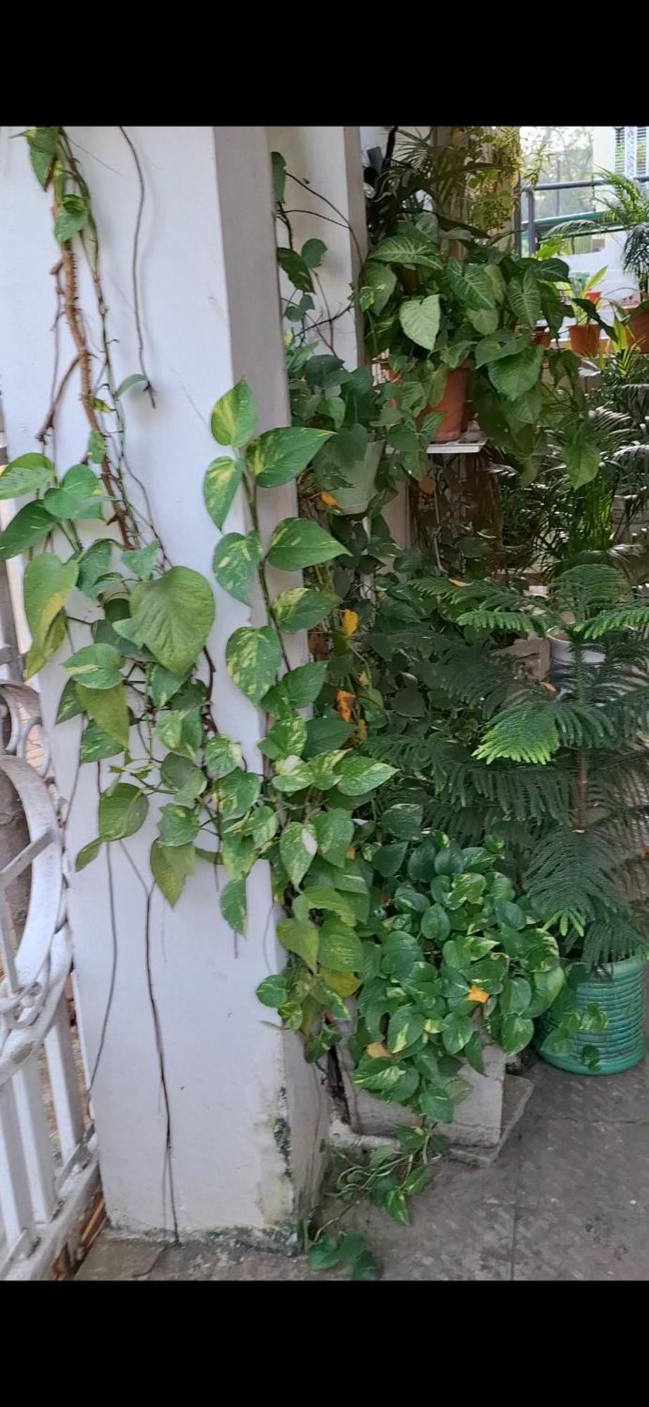 2Bhk Chandra Jyoti Villa Nit Garden Nagpur Exterior foto