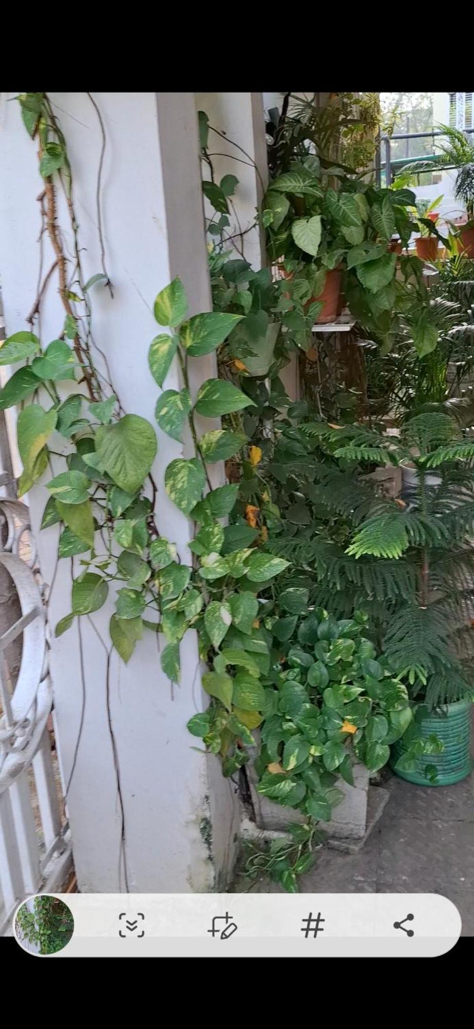 2Bhk Chandra Jyoti Villa Nit Garden Nagpur Exterior foto