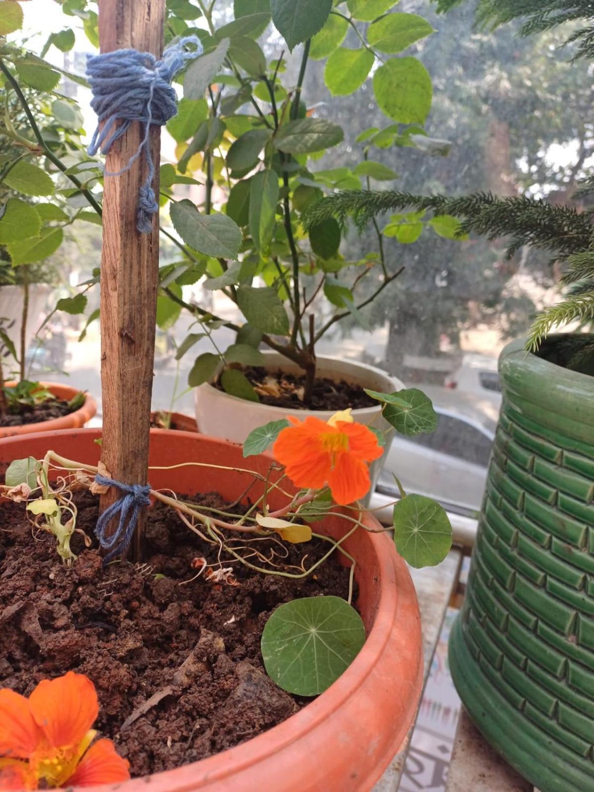 2Bhk Chandra Jyoti Villa Nit Garden Nagpur Exterior foto