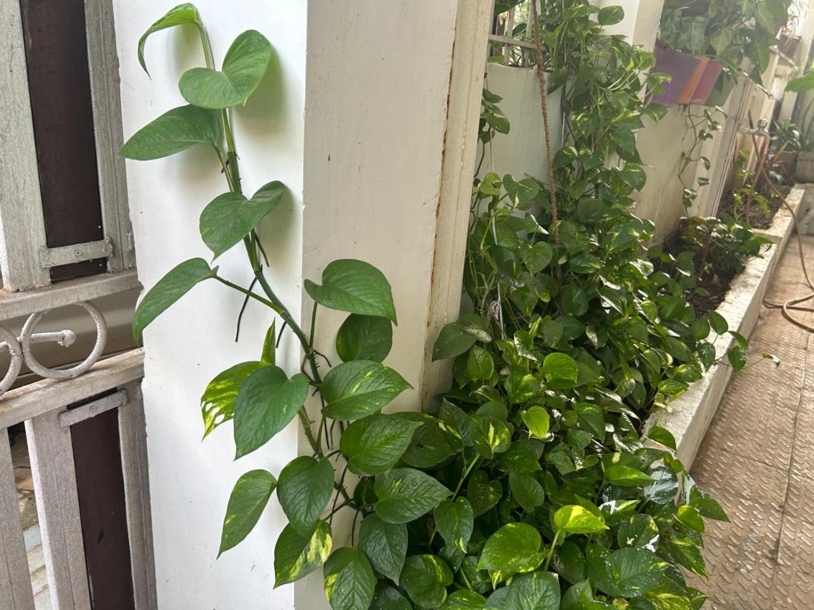 2Bhk Chandra Jyoti Villa Nit Garden Nagpur Exterior foto