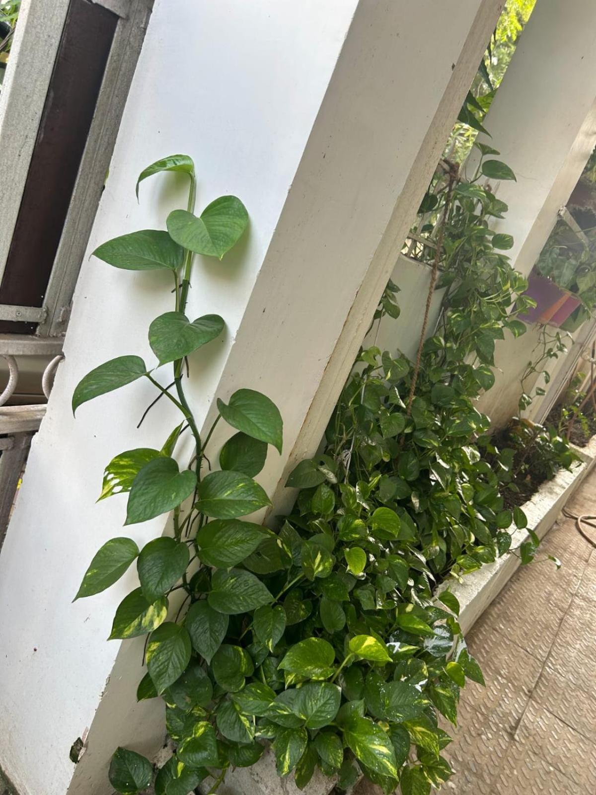 2Bhk Chandra Jyoti Villa Nit Garden Nagpur Exterior foto